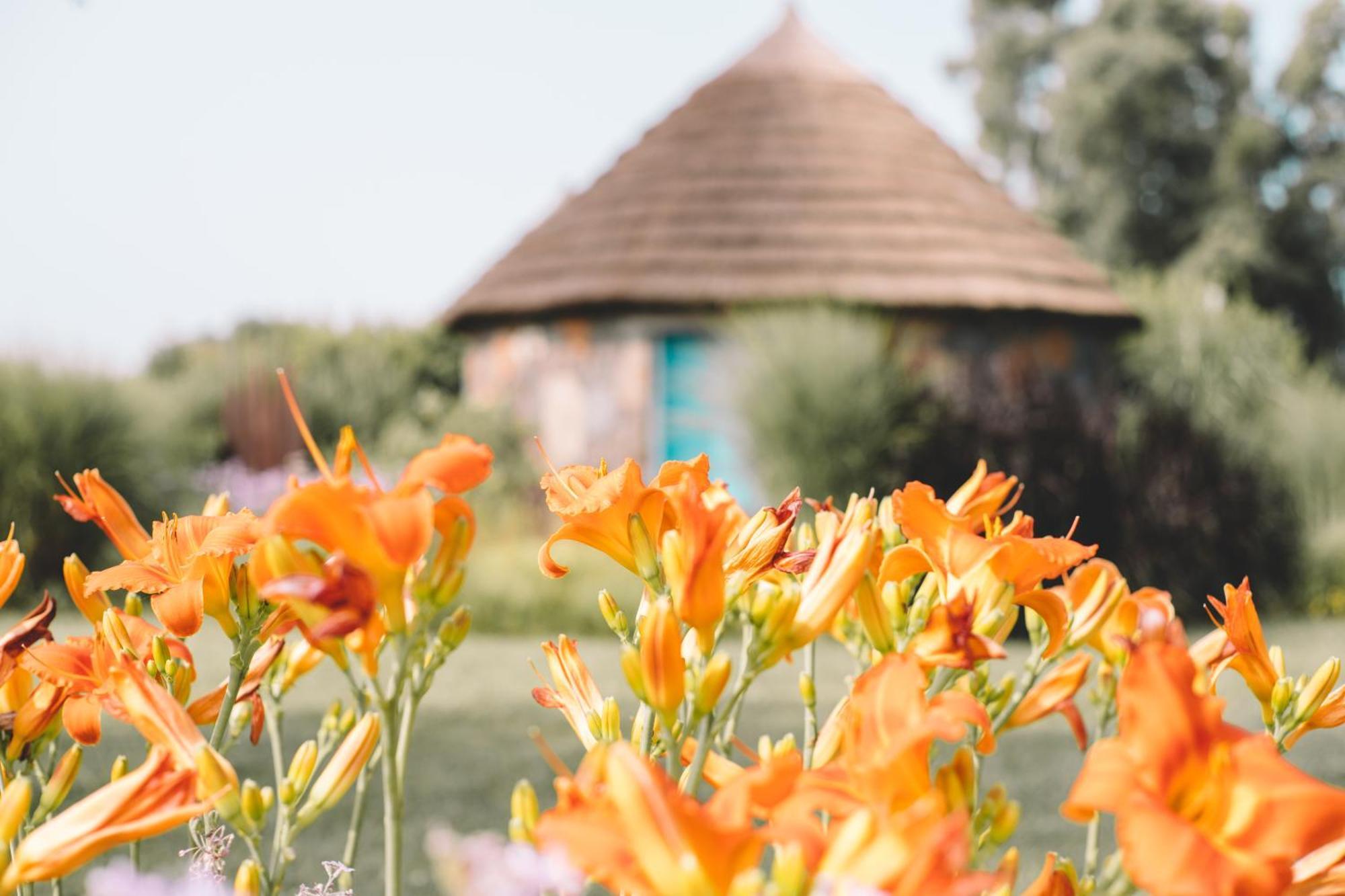 Is Cheas Wine Farm Boutique Hotel San Vero Milis Cameră foto