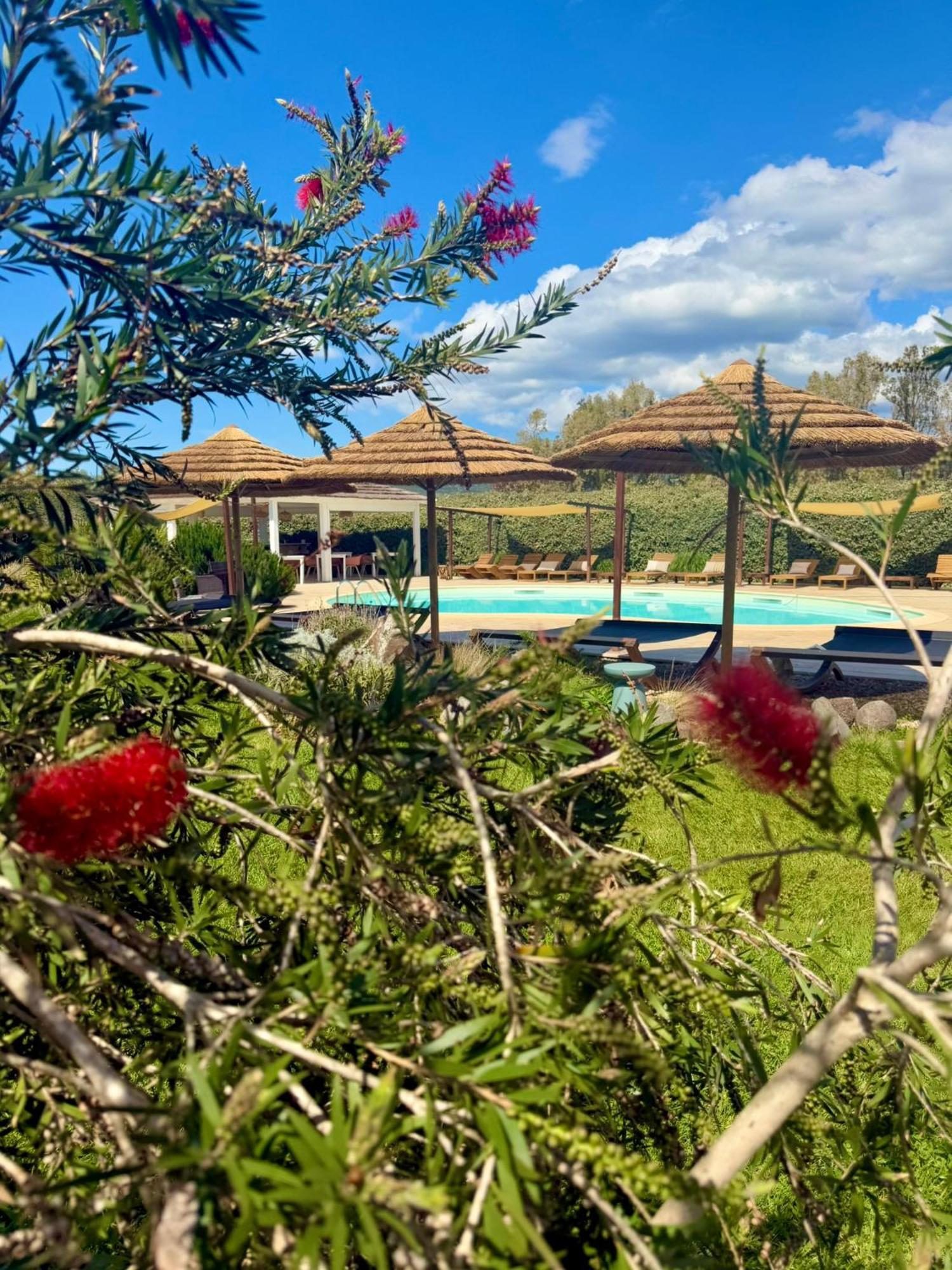 Is Cheas Wine Farm Boutique Hotel San Vero Milis Exterior foto