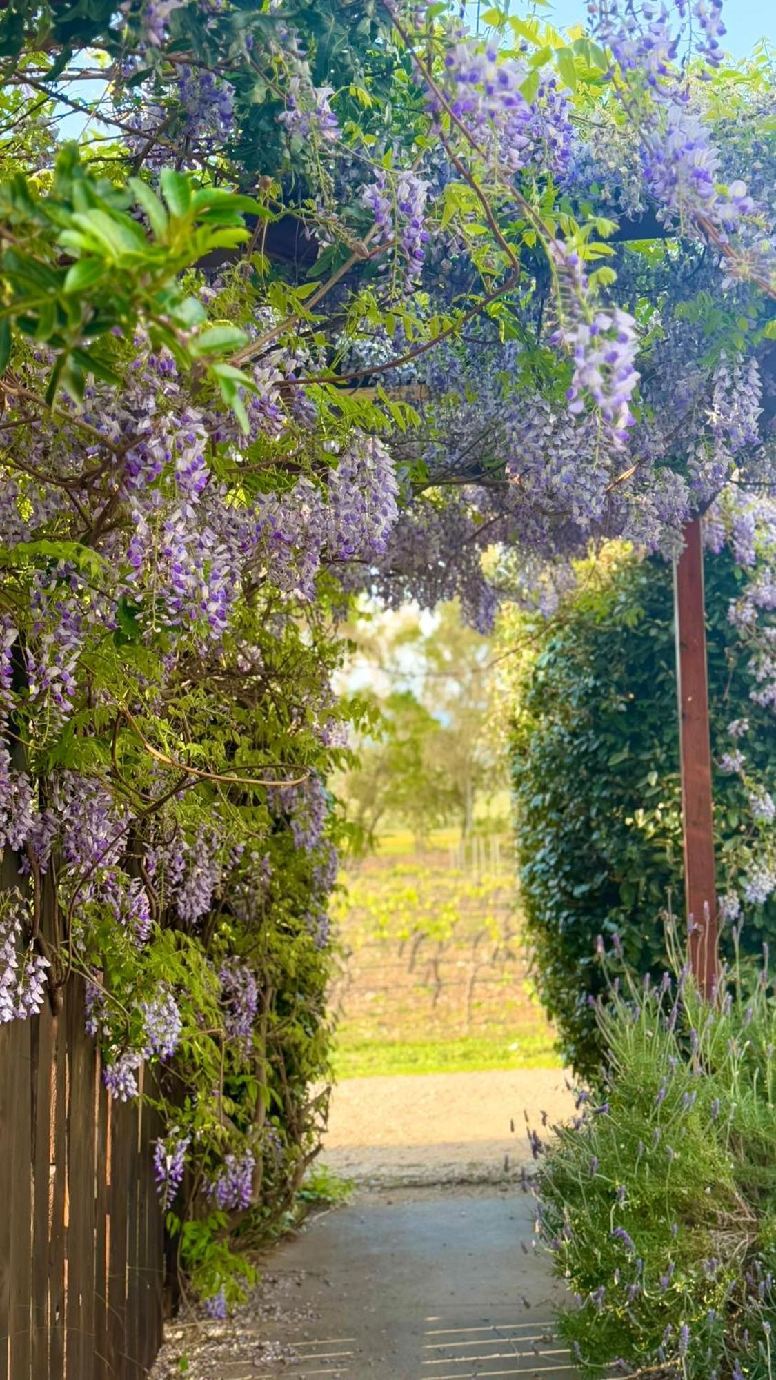 Is Cheas Wine Farm Boutique Hotel San Vero Milis Exterior foto